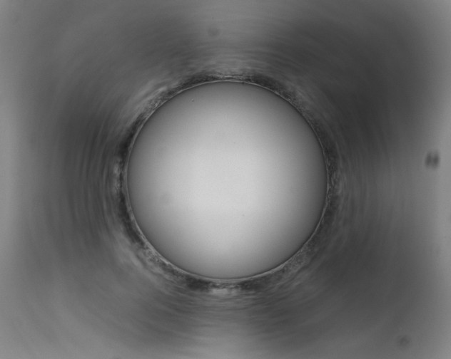 X0000112090744200908041047