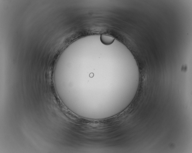 X0000112090745200908041047