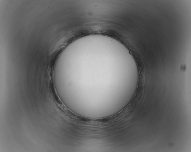 X0000112090746200908041048