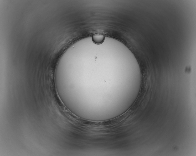 X0000112090747200908041048