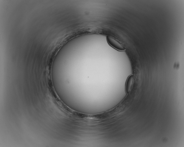 X0000112090748200908041048
