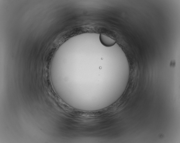 X0000112090749200908041048