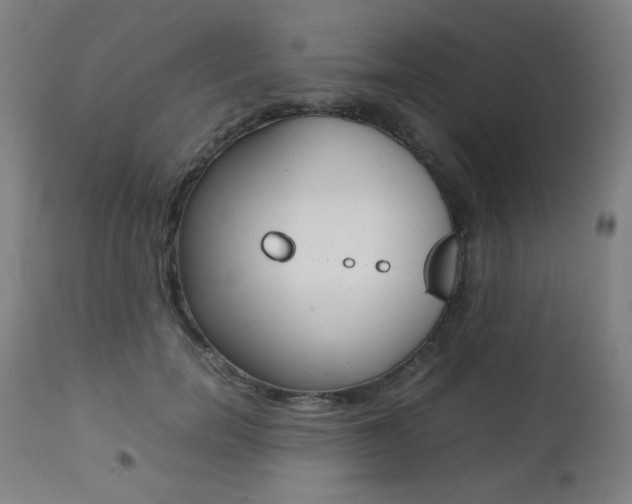 X0000112090750200908041048