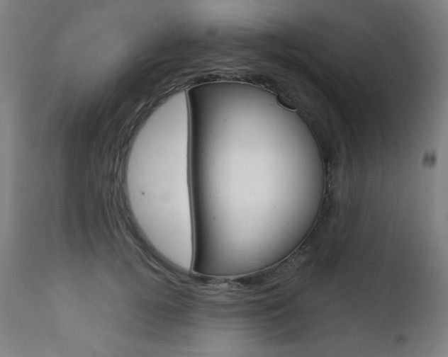 X0000112090752200908041048