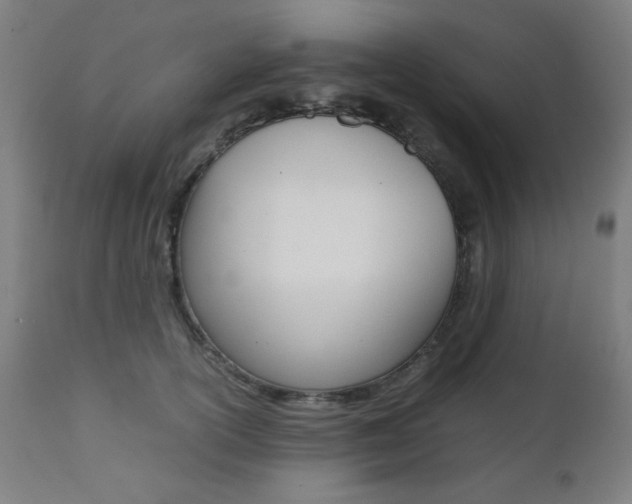 X0000112090754200908041048