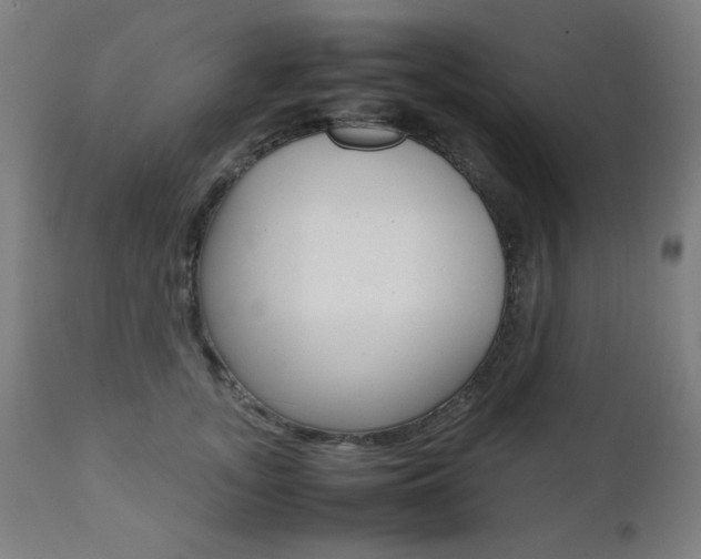X0000112090755200908041048