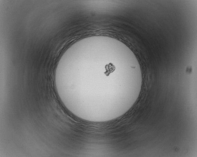 X0000112090756200908041048