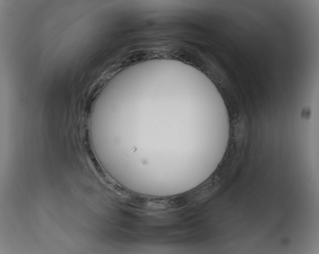X0000112090757200908041048