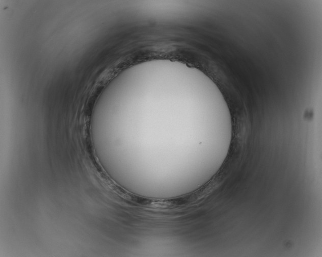 X0000112090758200908041048