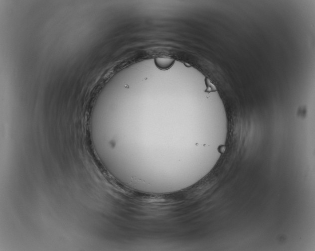 X0000112090759200908041048