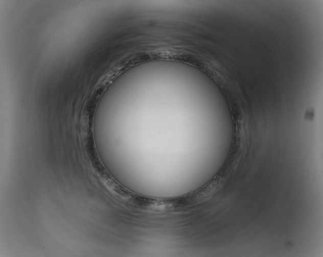 X0000112090760200908041048