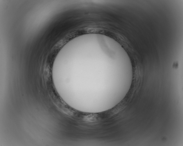 X0000112090761200908041048