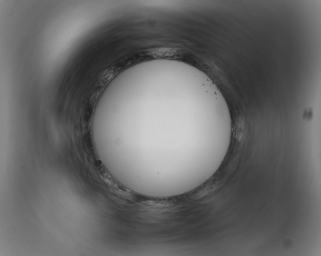 X0000112090763200908041048