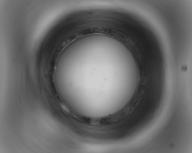 X0000112090766200908041048