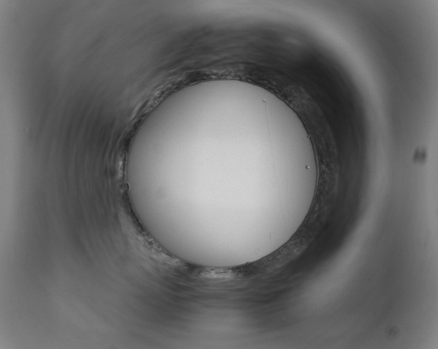 X0000112090767200908041048