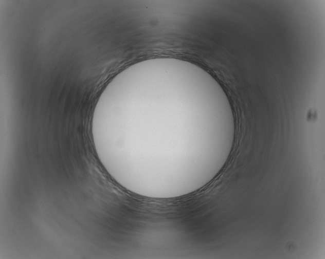 X0000112090768200908041048