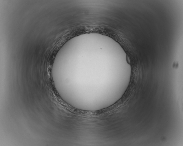 X0000112090770200908041047