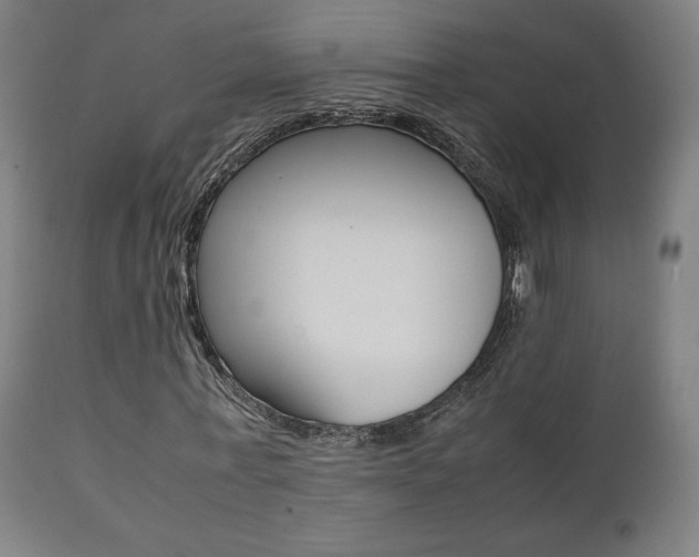 X0000112090771200908041047