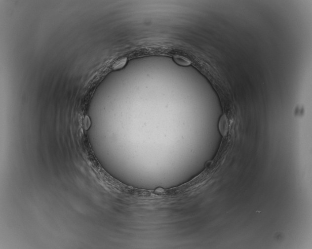 X0000112090772200908041047