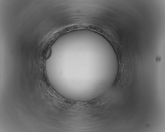X0000112090773200908041047