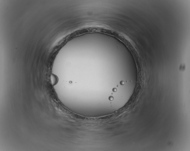 X0000112090775200908041047