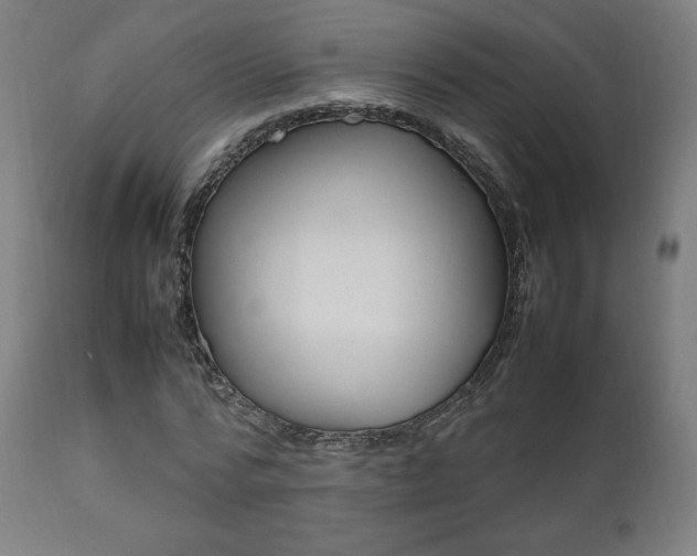 X0000112090776200908041047