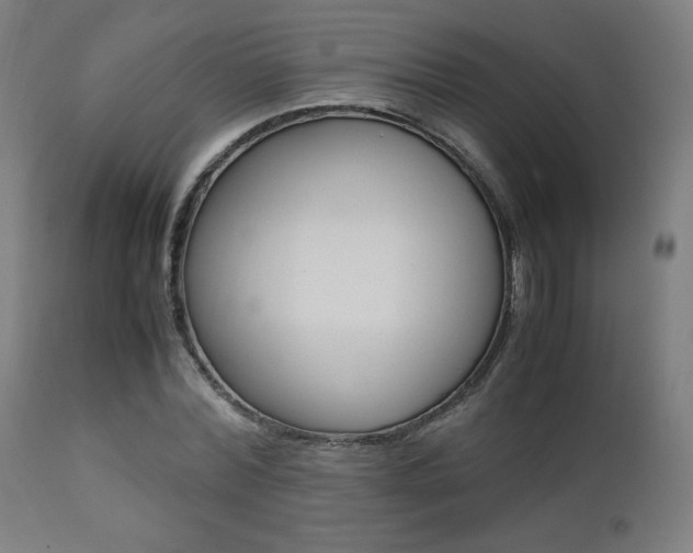 X0000112090780200908041047