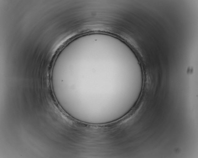 X0000112090782200908041047