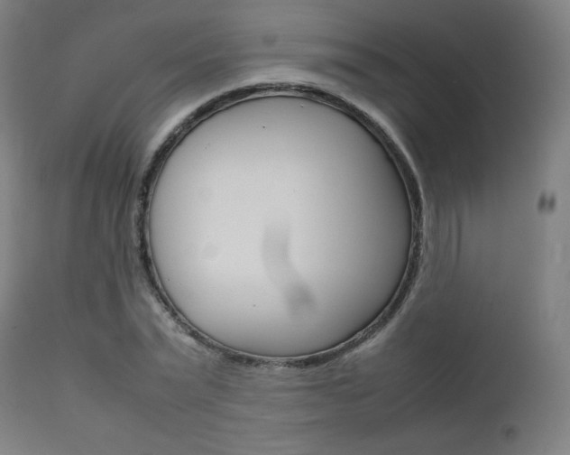 X0000112090783200908041047