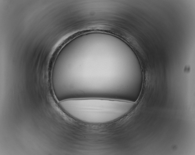 X0000112090784200908041047