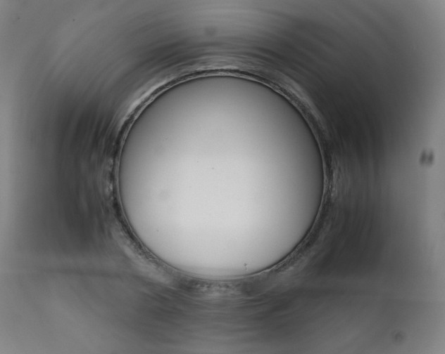 X0000112090786200908041047