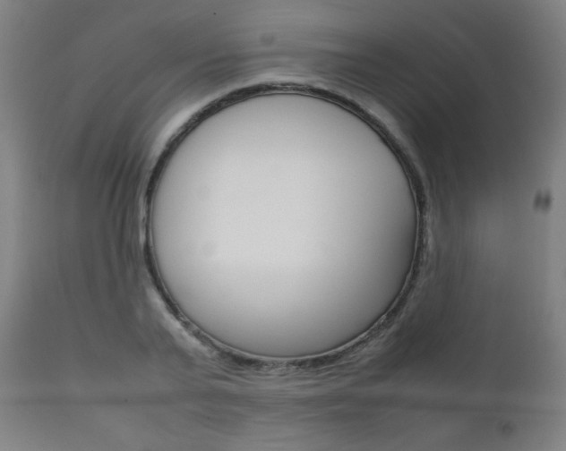 X0000112090791200908041047