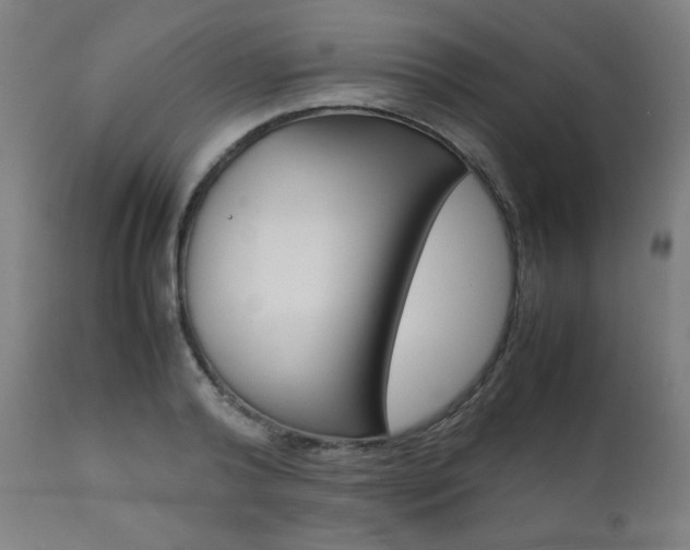 X0000112090792200908041047