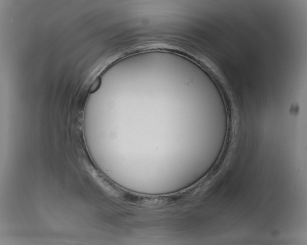X0000112090793200908041047