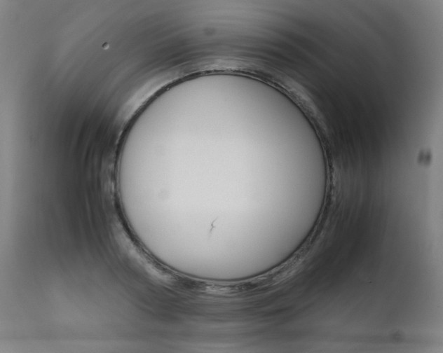 X0000112090794200908041047