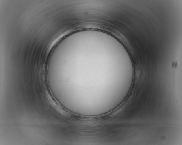 X0000112090798200908041047
