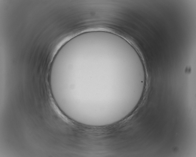 X0000112090805200908041046