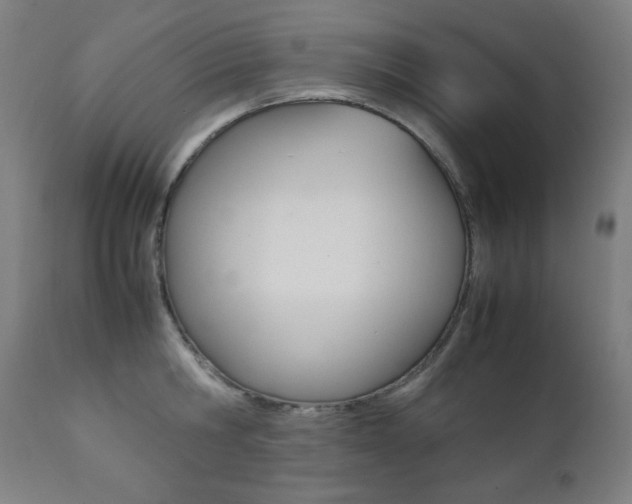 X0000112090806200908041046