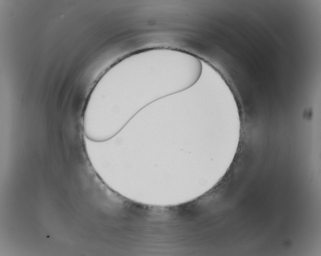 X0000112090807200908041046