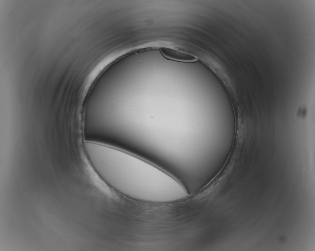 X0000112090808200908041046