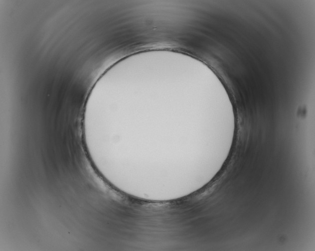 X0000112090810200908041046