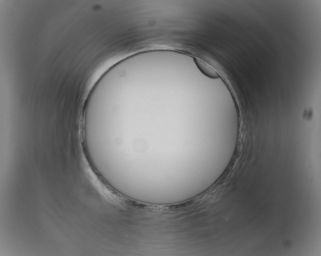X0000112090811200908041046