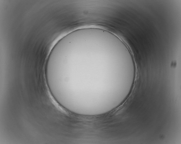 X0000112090813200908041046