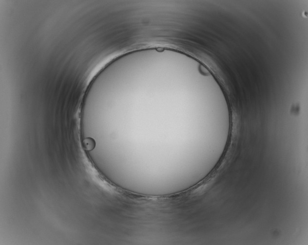 X0000112090814200908041046