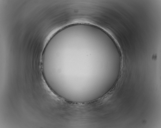 X0000112090815200908041046