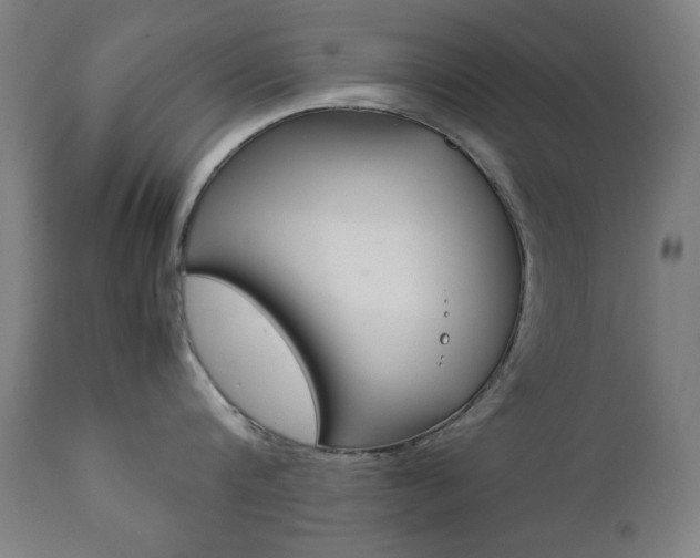 X0000112090816200908041046