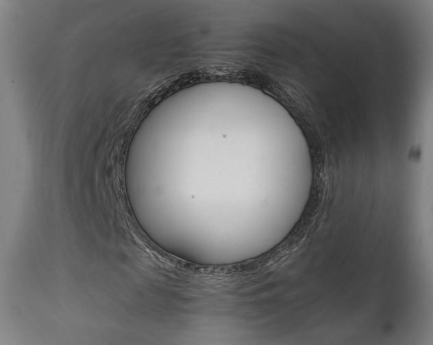 X0000112090817200908041046