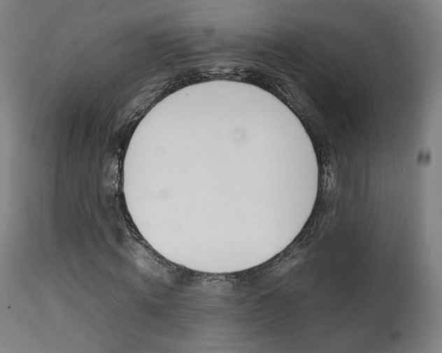 X0000112090820200908041046