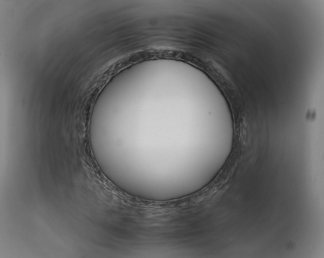 X0000112090821200908041046