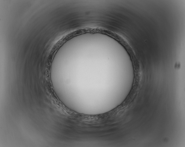 X0000112090823200908041046